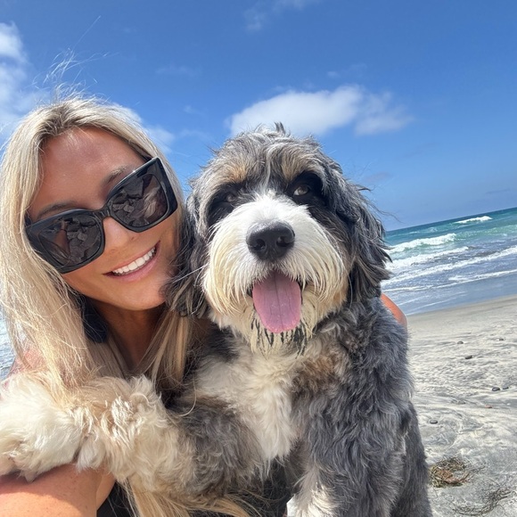 Meet the Posher, Jamie - Picture 3 of 12